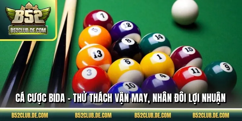 Cá Cược Bida - Thử Thách Vận May, Nhân Đôi Lợi Nhuận